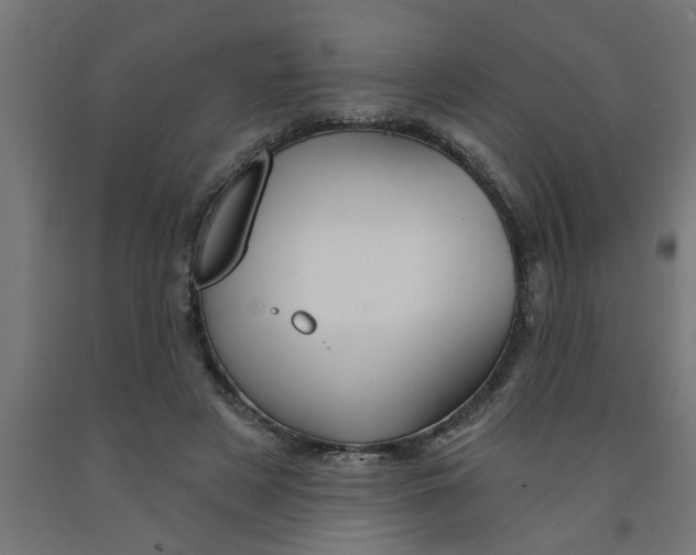 X0000090870497200708241923