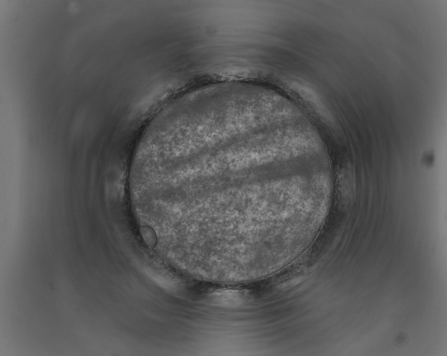 X0000090870499200708241923