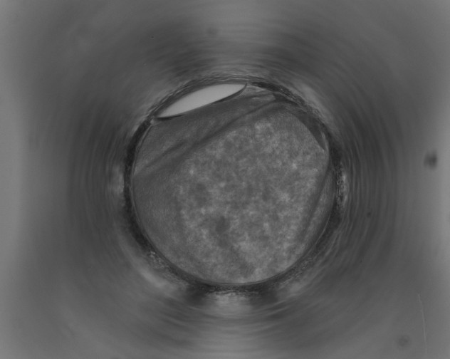 X0000090870500200708241923