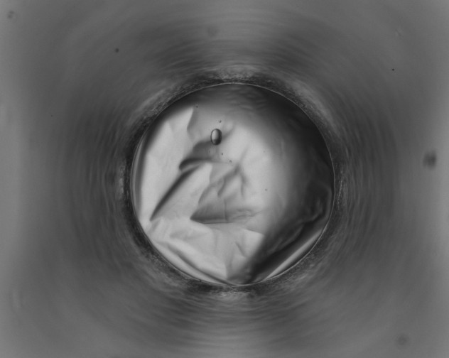 X0000090870501200708241923