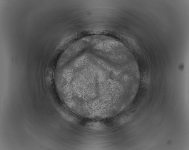 X0000090870503200708241923