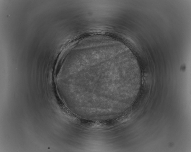 X0000090870504200708241923