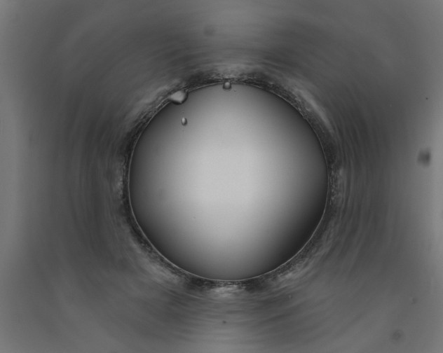 X0000090870505200708241922