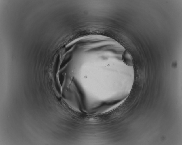 X0000090870506200708241922