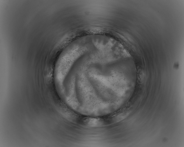 X0000090870507200708241922