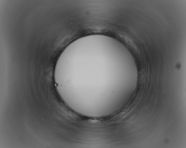 X0000090870509200708241922