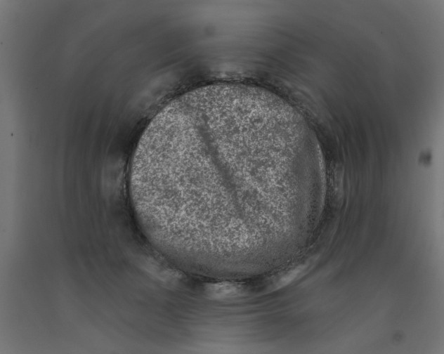 X0000090870511200708241922