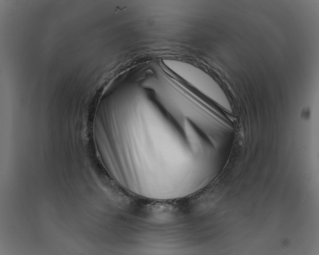 X0000090870512200708241922