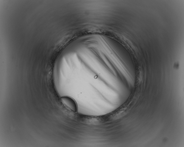 X0000090870513200708241922