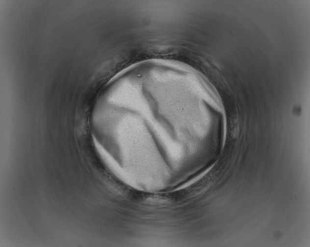 X0000090870515200708241922