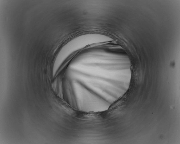 X0000090870516200708241922