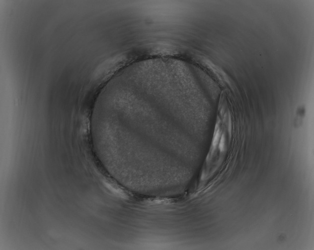 X0000090870517200708241922