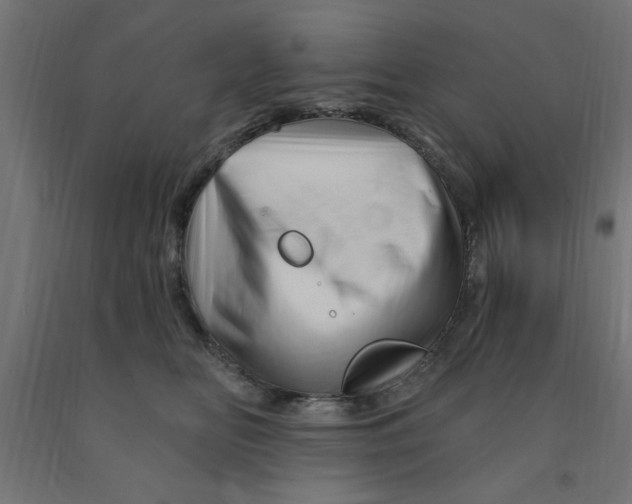 X0000090870518200708241922