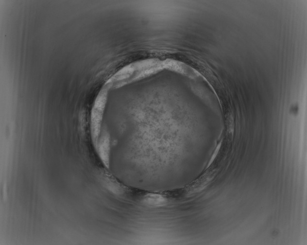 X0000090870519200708241922