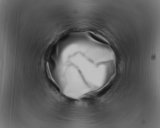 X0000090870520200708241922