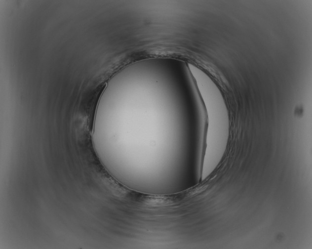 X0000090870521200708241922