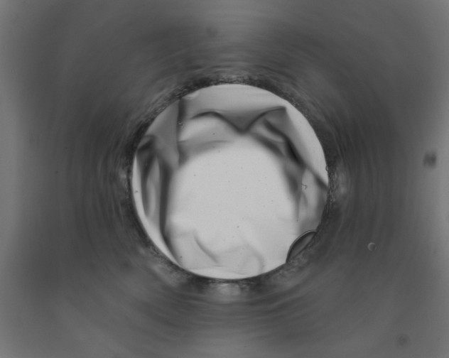 X0000090870522200708241922