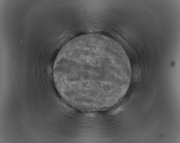 X0000090870523200708241922