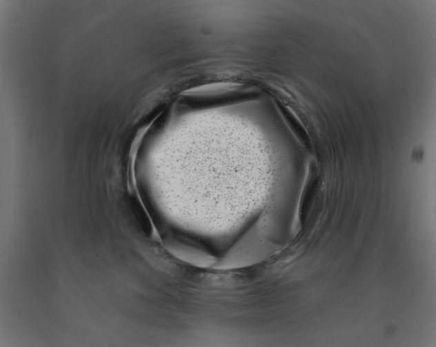 X0000090870524200708241922