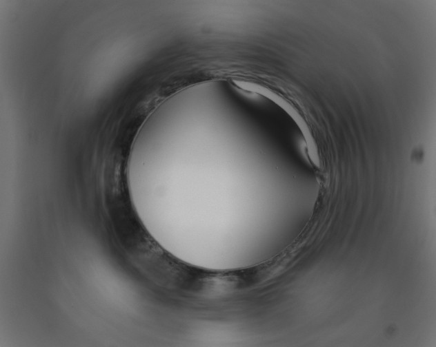 X0000090870525200708241922