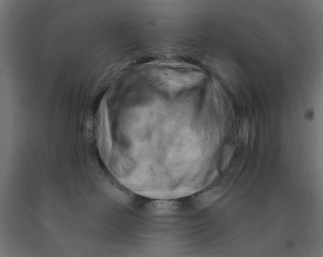 X0000090870526200708241922