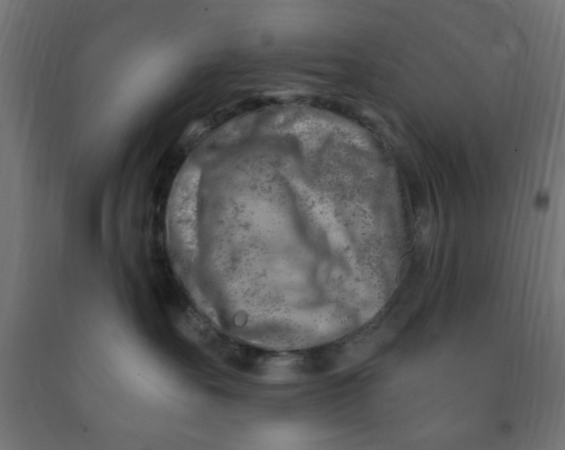 X0000090870527200708241922