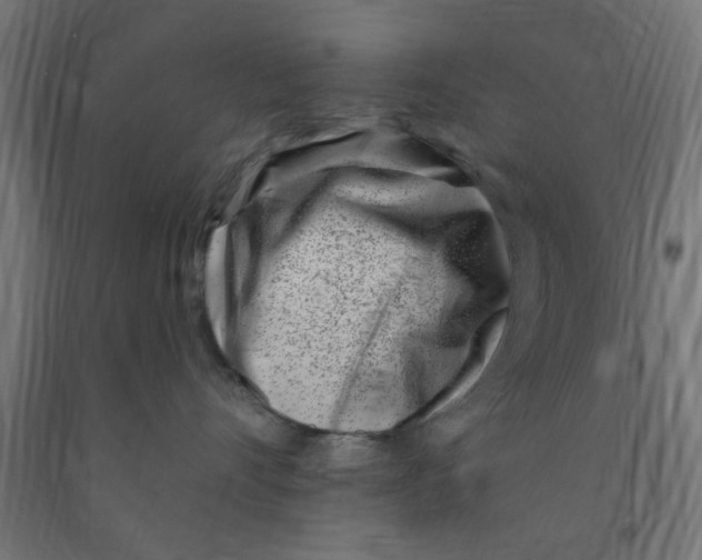 X0000090870528200708241922