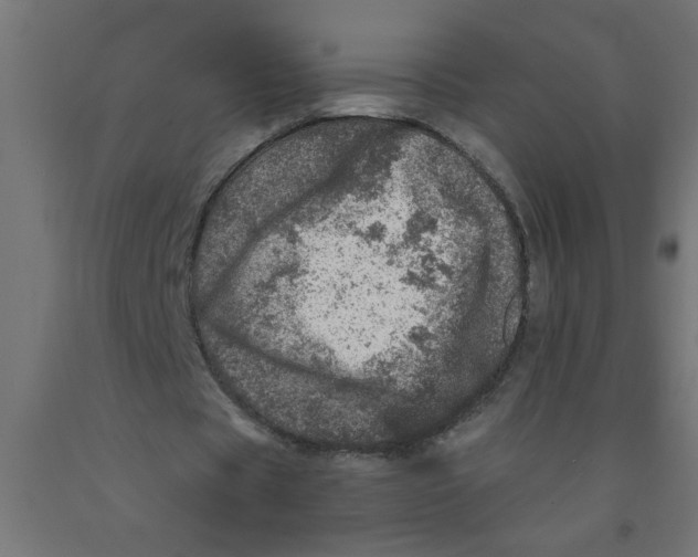 X0000090870529200708241922