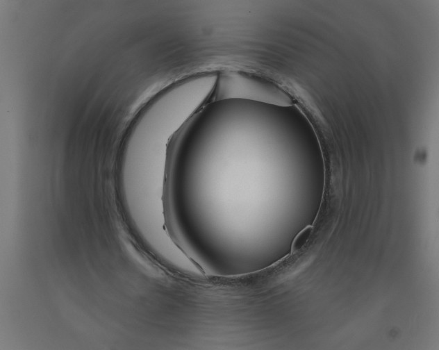 X0000090870530200708241922