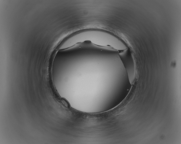 X0000090870531200708241922