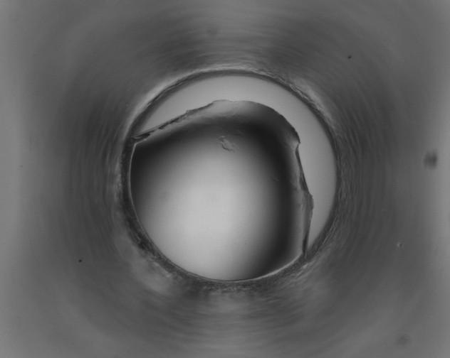 X0000090870532200708241922