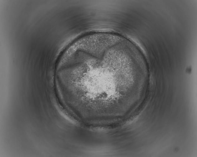 X0000090870533200708241922