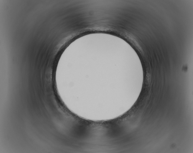 X0000090870534200708241922