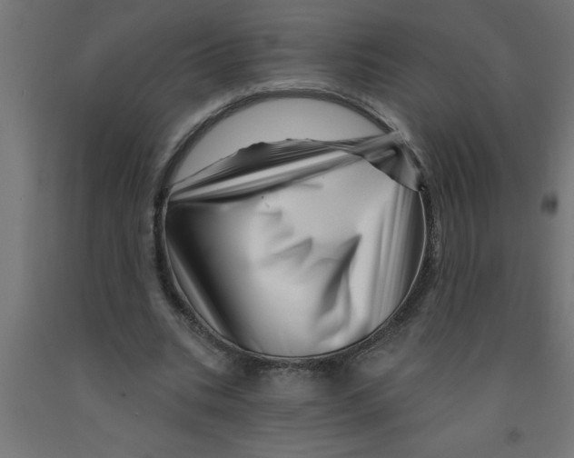 X0000090870535200708241922