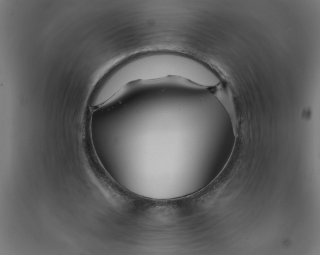 X0000090870536200708241922