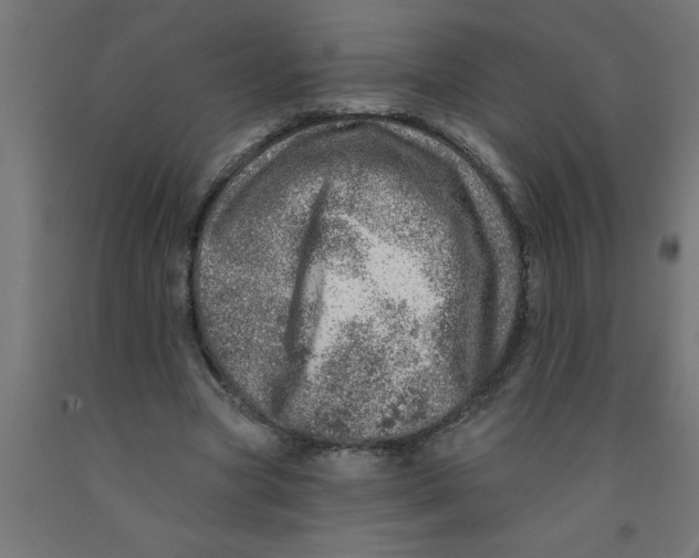 X0000090870537200708241922