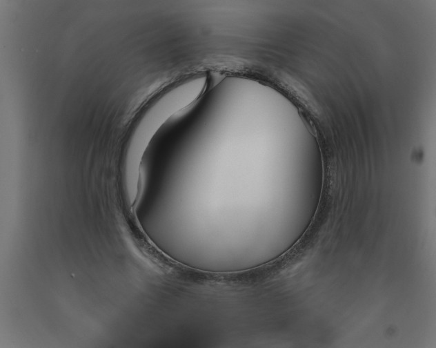 X0000090870538200708241922