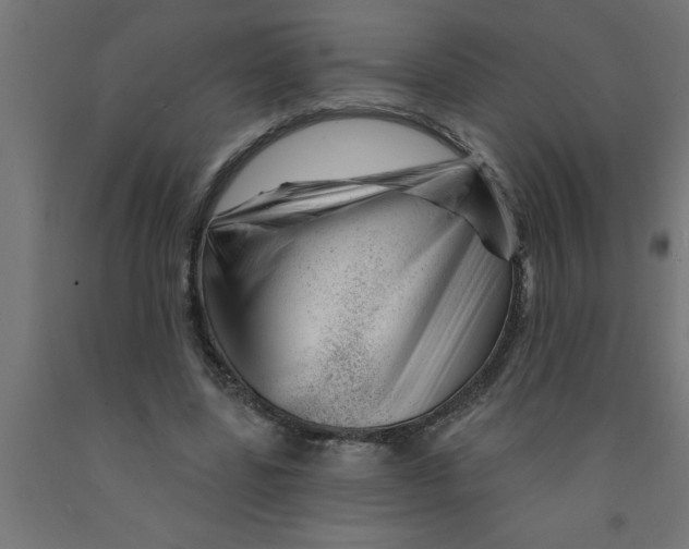 X0000090870539200708241922