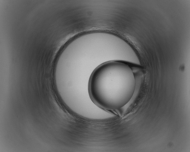 X0000090870540200708241922