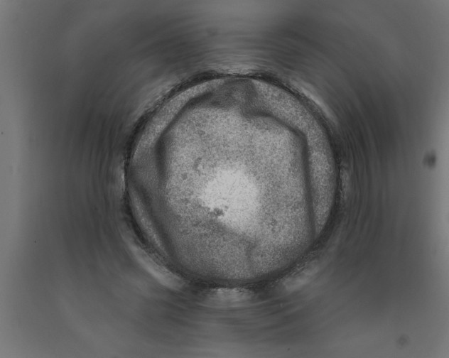 X0000090870541200708241922