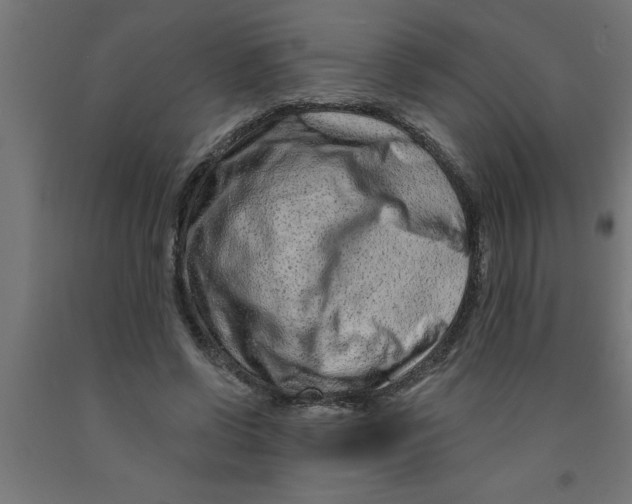 X0000090870542200708241922