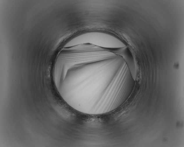 X0000090870543200708241922