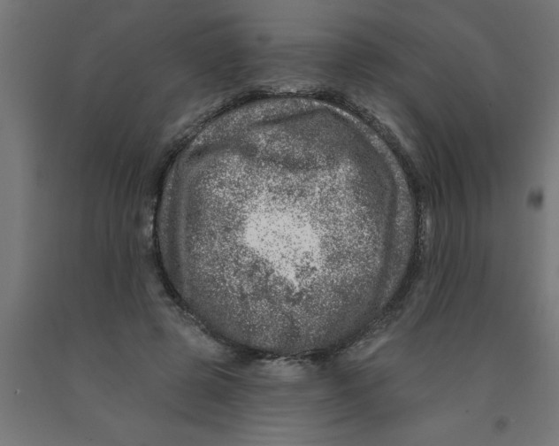 X0000090870545200708241922