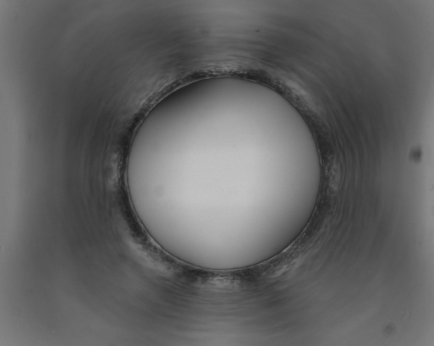 X0000090870546200708241922