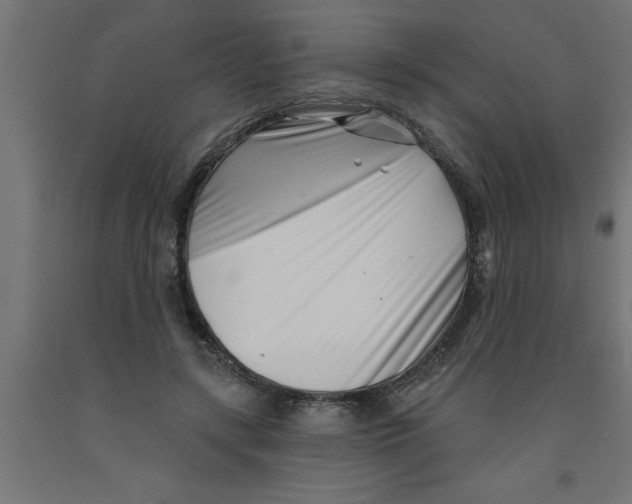 X0000090870547200708241922