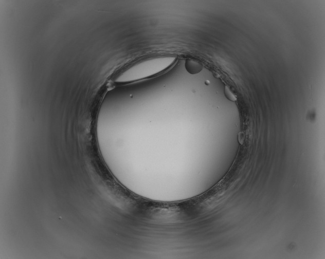 X0000090870548200708241922