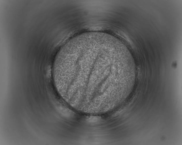 X0000090870549200708241922