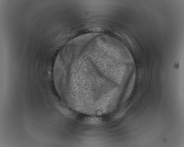 X0000090870553200708241922