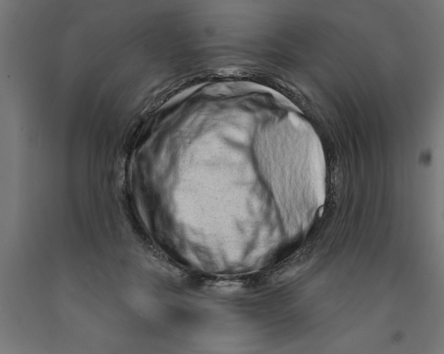 X0000090870554200708241922