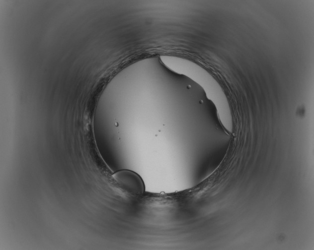 X0000090870555200708241922